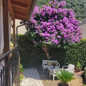 La Bouganville E Il Gelsomino Appartamento Pietrasanta